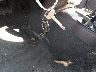 5TEWM72N01Z****** Salvamento 2001 Toyota Tacoma en Estado de Maryland