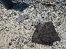 1G1ZD5ST3JF****** Wrecked 2018 Chevrolet Malibu in Virginia State