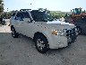 1FMCU0E79CK****** Salvamento y Destrozados 2012 Ford Escape en Tampa