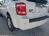 1FMCU0E79CK****** Salvamento y Reparables 2012 Ford Escape en Estado de Florida