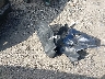 KL1TD6DE2AB****** Wrecked 2010 Chevrolet Aveo in Massachusetts State