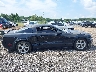 1ZVHT82H695****** Used 2009 Ford Mustang in South Carolina State