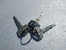 1NXBA02EXVZ****** Salvamento 1997 Toyota Corolla en Estado de Washington