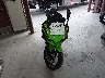 ML5EXGJ15RD****** Used and Repairable 2024 Kawasaki Ninja 500 in Idaho State