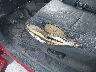 3D7HA18N42G****** Salvage and Repairable 2001 Dodge Ram 1500 in Texas State