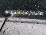 2HGFA16849H****** Wrecked 2009 Honda Civic in New York State
