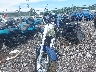 1HD1BMY16YY****** Used and Repairable 2000 Harley-Davidson Fat Boy in Pennsylvania State