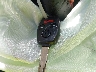 19XFB2F86CE****** Salvage 2012 Honda Civic in California State