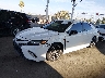 4T1B11HK9KU****** Usados y Reparables 2019 Toyota Camry en North Hollywood
