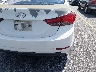 5NPDH4AE1GH****** Salvamento y Reparables 2016 Hyundai Elantra en Estado de Carolina del Sur