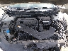 5NPE24AF3HH****** Repairable 2017 Hyundai Sonata in Baton Rouge