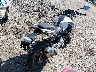 WB30G110XKR****** Salvamento y Destrozados 2019 BMW G310 en Estado de Virginia