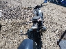 WB30G110XKR****** Salvamento y Reparables 2019 BMW G310 en Estado de Virginia