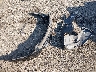 3GYFNEE39GS****** Wrecked 2016 Cadillac SRX in Virginia State