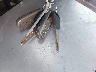 JH4CL96997C****** Salvamento 2007 Acura TSX en Estado de California