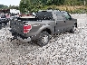 1FTFW1EF3BF****** Salvamento y Destrozados 2011 Ford F-150 en Estado de Kentucky