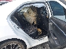 5YFBURHE6GP****** Destrozados 2016 Toyota Corolla en High Point