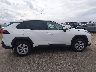 2T3G1RFV8PW****** Reparables 2023 Toyota RAV4 en Estado de Minnesota