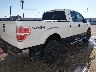1FTFX1EVXAK****** Salvage and Wrecked 2010 Ford F-150 in Texas State
