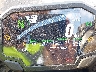 JKBZXJJ19RA****** Salvage 2024 Kawasaki ZX636 in Rec Rides Online Exclusive