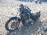 1HD4CAM176K****** Usados y Reparables 2006 Harley-Davidson Xl883 en Cleveland