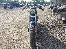 1HD4CAM176K****** Usados y Reparables 2006 Harley-Davidson Xl883 en Estado de Ohio