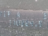 1FMCU4K31BK****** Wrecked 2011 Ford Escape Hybrid