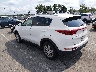 KNDPMCAC7K7****** Salvamento y Reparables 2019 Kia Sportage en Englishtown