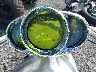 1HD1HAZ122K****** Salvage 2002 Harley-Davidson V-Rod in Rec Rides Online Exclusive