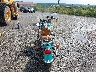 JKBVNCB17YB****** Salvamento y Reparables 2000 Kawasaki Vn800 en Estado de Pennsylvania