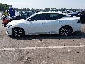 1N4AA6AV6KC****** Salvage 2019 Nissan Maxima