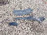 KMHD35LH8GU****** Destrozados 2016 Hyundai Elantra en Estado de Ohio