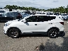 5XYZUDLB6HG****** Reparables 2017 Hyundai Santa Fe en Estado de Nueva York