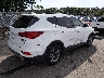 5XYZUDLB6HG****** Salvamento y Destrozados 2017 Hyundai Santa Fe en Estado de Nueva York
