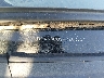 JTDKN3DU1A0****** Wrecked 2010 Toyota Prius in Georgia State