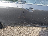 JH4CU2F63AC****** Salvamento y Reparables 2010 Acura TSX en Estado de Nueva Jersey