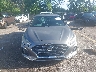 5NPE24AF7KH****** Salvamento 2019 Hyundai Sonata en Estado de Florida