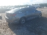 5NPE24AF7KH****** Salvamento y Destrozados 2019 Hyundai Sonata en Estado de Florida