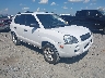 KM8JM12B87U****** Salvage and Wrecked 2007 Hyundai Tucson in Little Rock