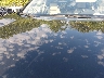 5J6RW2H8XJL****** Reparables 2018 Honda CR-V
