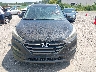 KM8J33A24GU****** Salvamento y Reparables 2016 Hyundai Tucson en Estado de Alabama