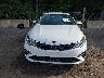 5XXGT4L38KG****** Wrecked 2019 Kia Optima in Maryland State