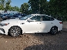 5XXGT4L38KG****** Repairable 2019 Kia Optima in Maryland State