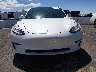 5YJ3E1EB7LF****** Destrozados 2020 Tesla Model 3 en Estado de Nevada