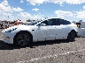 5YJ3E1EB7LF****** Reparables 2020 Tesla Model 3 en Estado de Nevada
