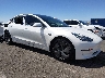 5YJ3E1EB7LF****** Salvamento y Destrozados 2020 Tesla Model 3 en Las Vegas