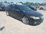 19UUA66228A****** Salvage and Wrecked 2008 Acura TL in Wichita
