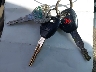 JH4DB7656YS****** Salvamento 2000 Acura Integra en Estado de California
