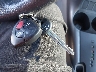 JTMBD33V565****** Salvamento 2006 Toyota RAV4 en Estado de Massachusetts