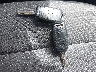3KPFK4A72JE****** Salvage 2018 Kia Forte in Florida State